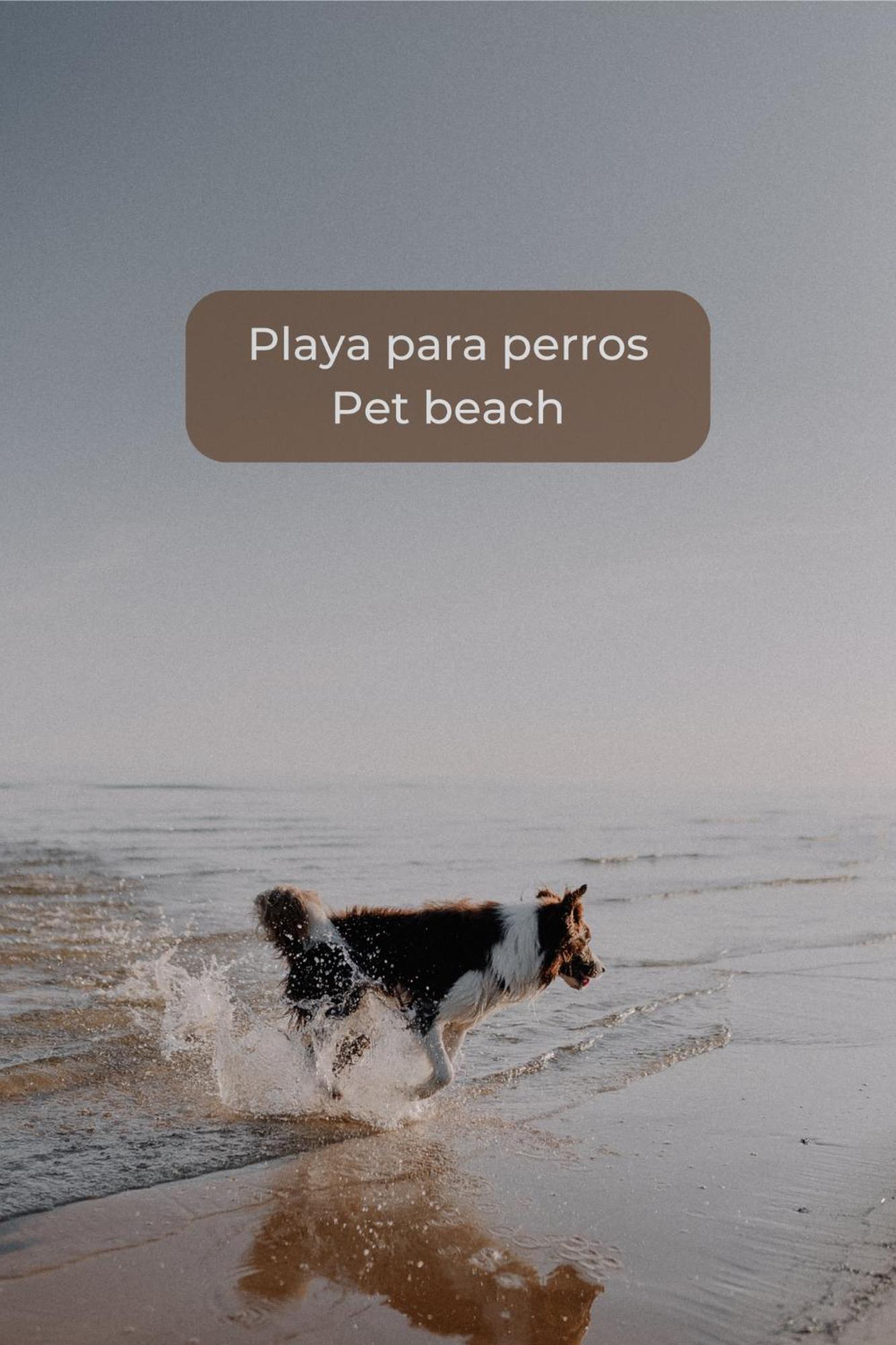 La Gofio En El Centro De Corralejo, Dos Habitaciones, Dos Banos, Terraza Privada Y Wi-fi Appartement Corralejo
